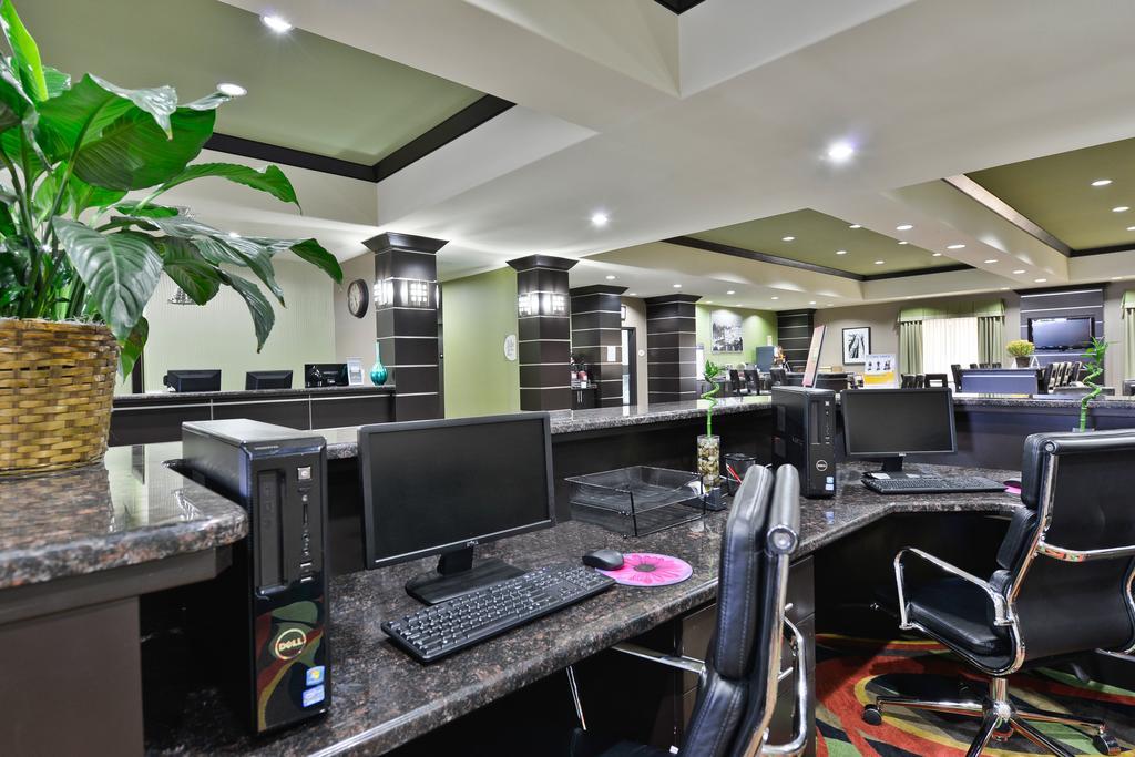 Comfort Suites Амарило Екстериор снимка